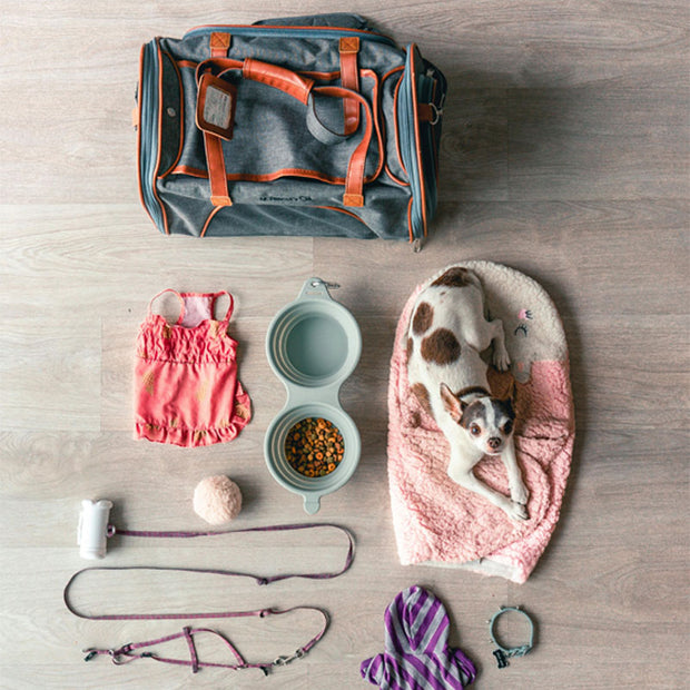 <h3>Pets supplies</h3>